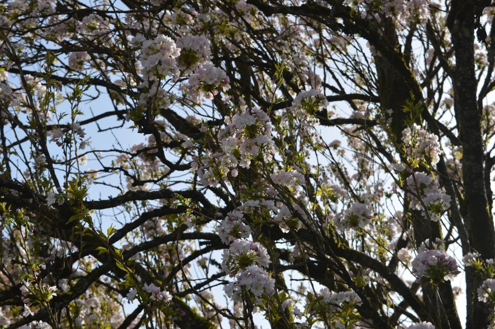 Vila Chez Nous Chiny Exteriér fotografie