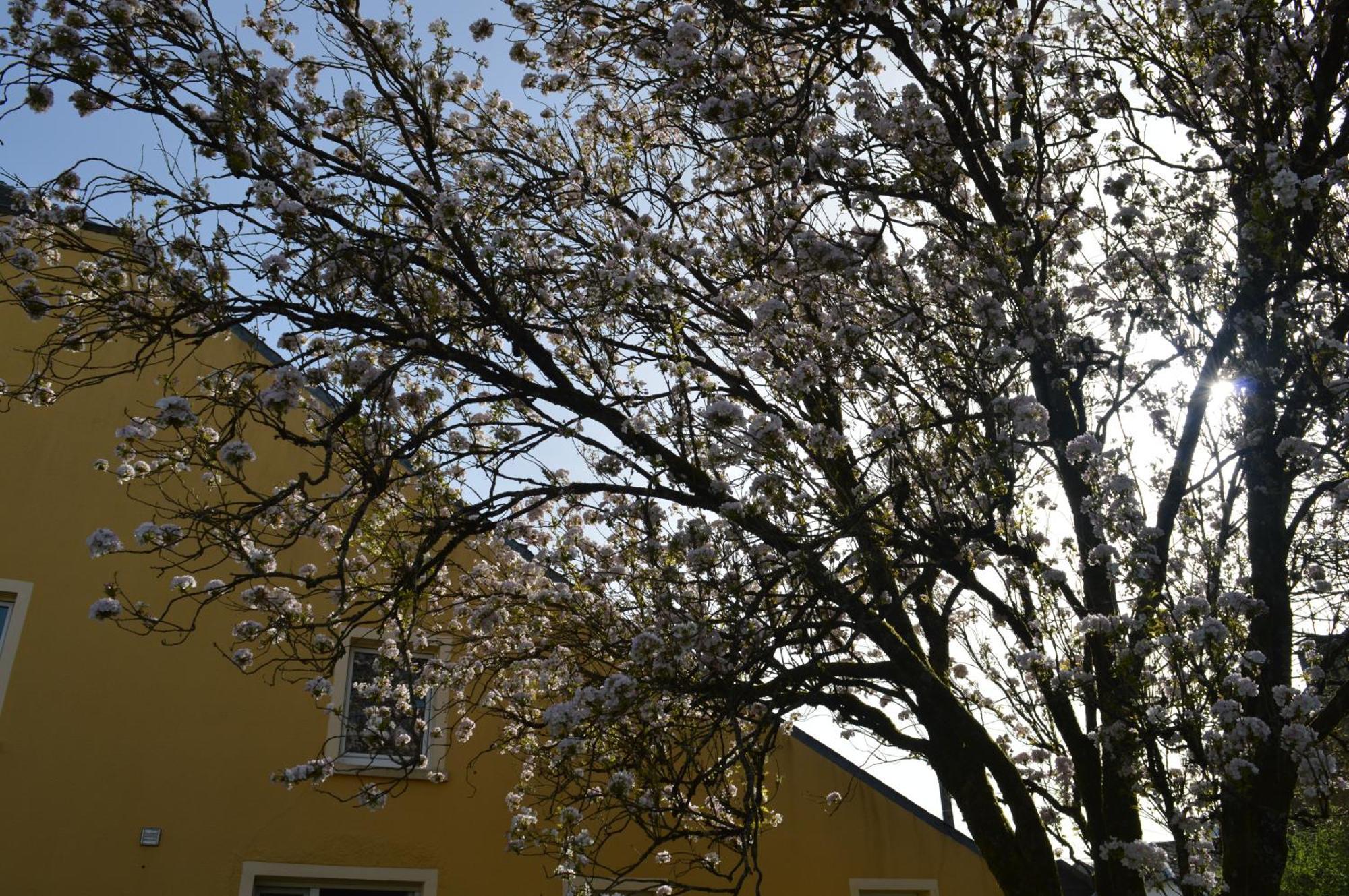 Vila Chez Nous Chiny Exteriér fotografie