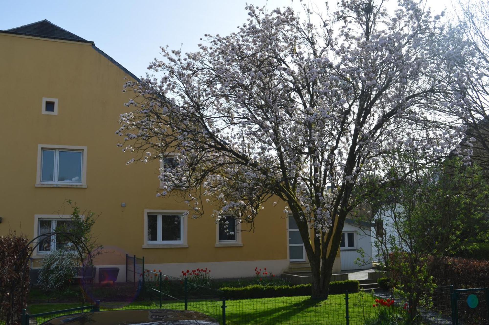 Vila Chez Nous Chiny Exteriér fotografie